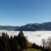 20081026_065
